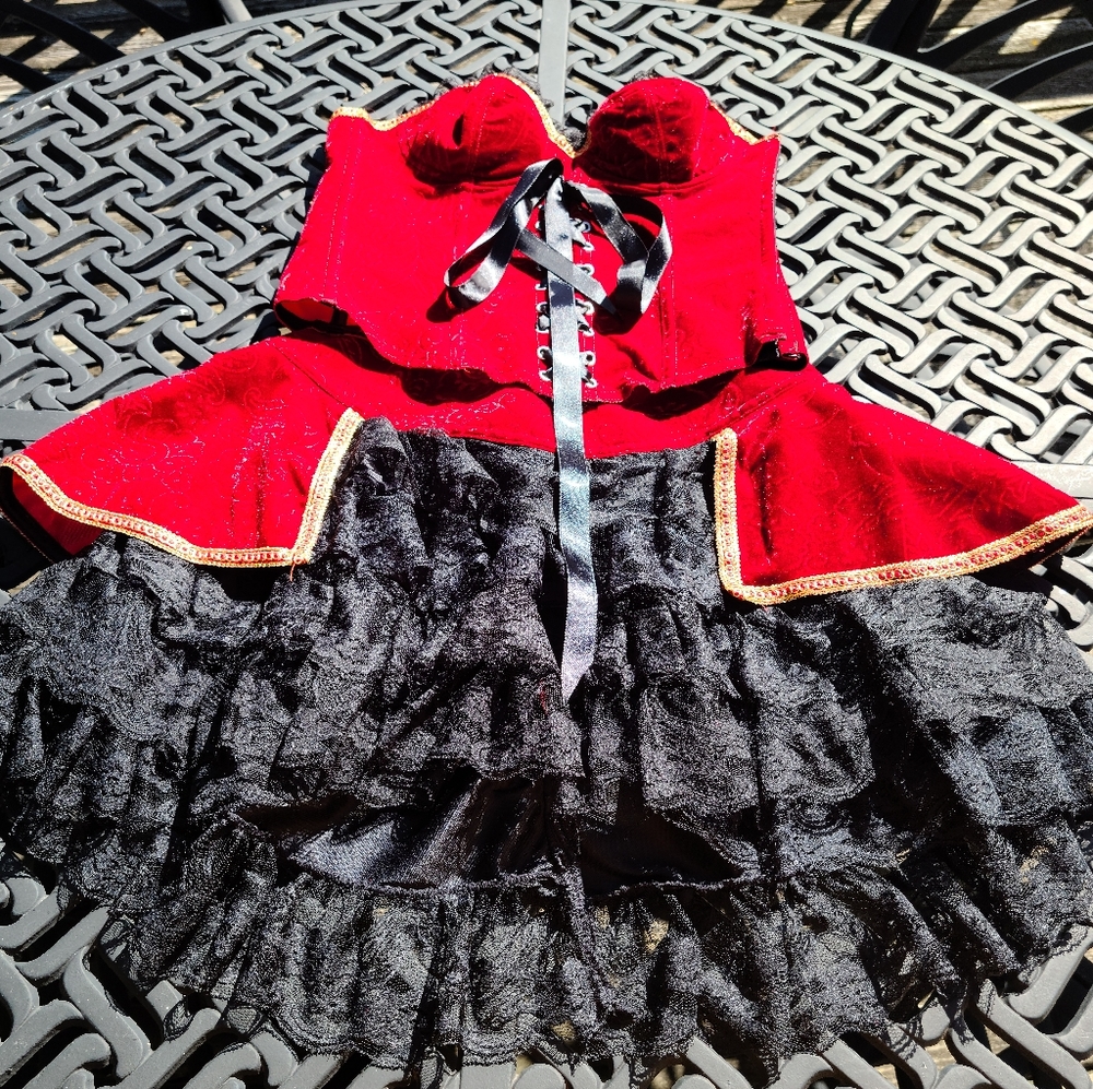 2pc Corset Costume-Burlesque
